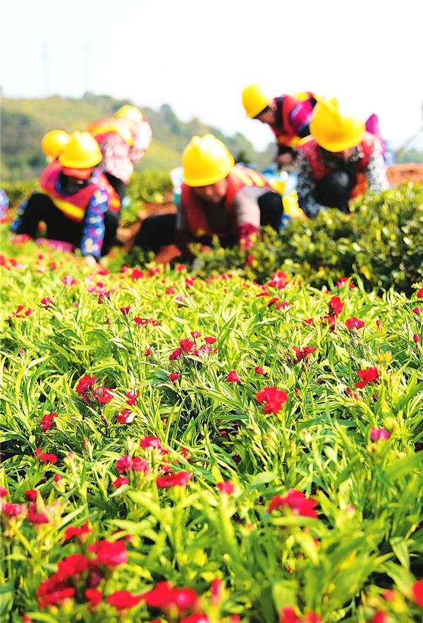 
                            湖南建投基础投相山公司服务第二届湖南旅发大会奋战郴州城市风貌提质改造项目