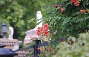 十年来国家高新区总数达173家 较2012年增加84家