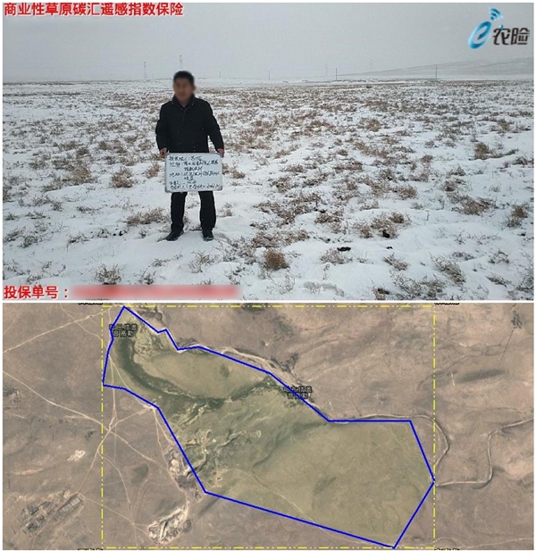 
                            卫星遥感助力双碳目标，佳格天地携手太保产险落地全国首单草原碳