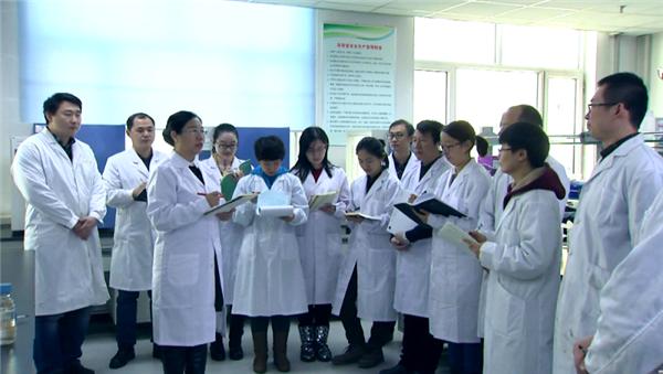 
                            国家生猪产业技术体系岗位科学家刘娣：做畜牧研究领域的拓荒者与
