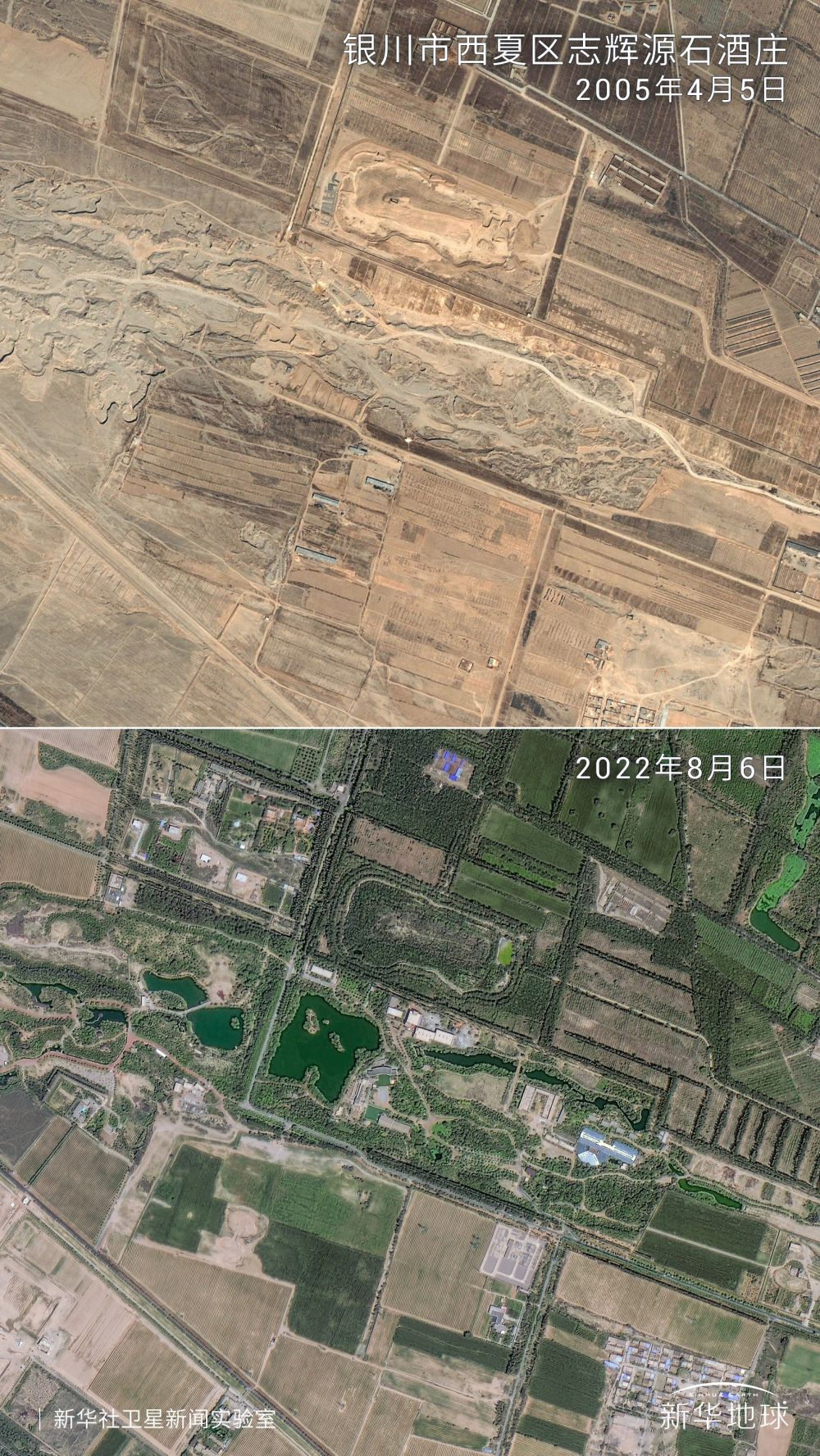 
                            卫星新闻 | 从太空见证宁夏的“紫色名片”——戈壁滩上孕育出